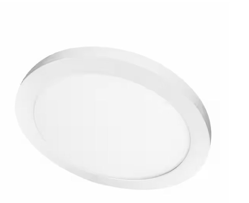 11 in. 12.5-Watt Dimmable White Integrated LED 875 Lumens Round Flat Panel Flush Mount Ceiling Light Color Change 5CCT