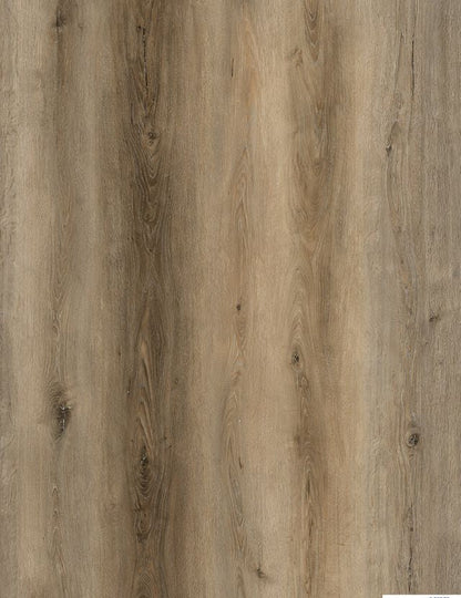 Saint Augustine Brisbane Waterproof Rigid Core Luxury Vinyl Plank Flooring (10975 68002)