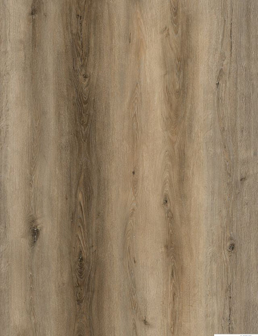 Saint Augustine Brisbane Waterproof Rigid Core Luxury Vinyl Plank Flooring (10975 68002)