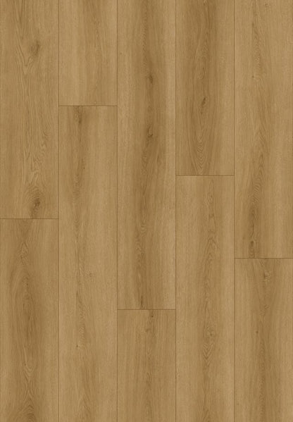 Timeless Iconic Waterproof Rigid Core WPC Vinyl Plank Flooring (20000 82004)